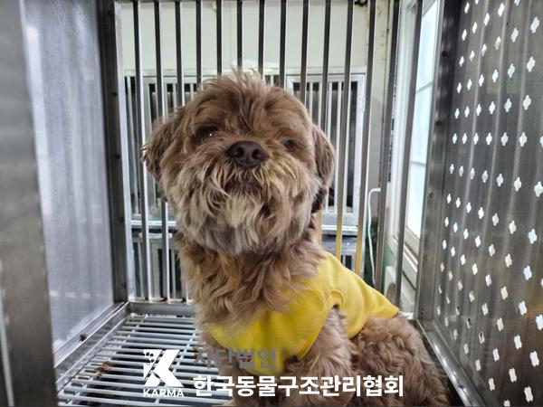 한국동물구조관리협회_411316202500218